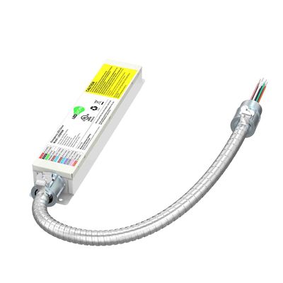 347V 25 de Batterij Reserve van de Hoofd watts120ma Noodsituatie Bestuurder