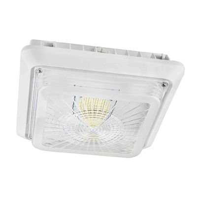 Keuken120v 40W 5000K IP65 LEIDENE Luifel Lichte Inrichtingen